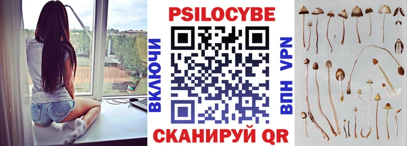 Галлюциногенные грибы Psilocybe  OMG сайт  Никольское  купить наркотик 